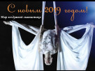Календарь - афиша 2019 г. (творческий проект Елены Мешковой)
