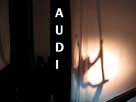 Воздушная промо - акция фирмы "Audi"