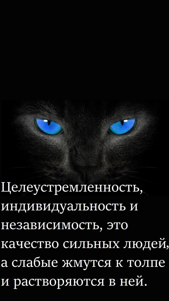 Жизненный принцип "Женщины кошки"