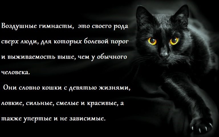 Жизненный принцип "Женщины кошки"