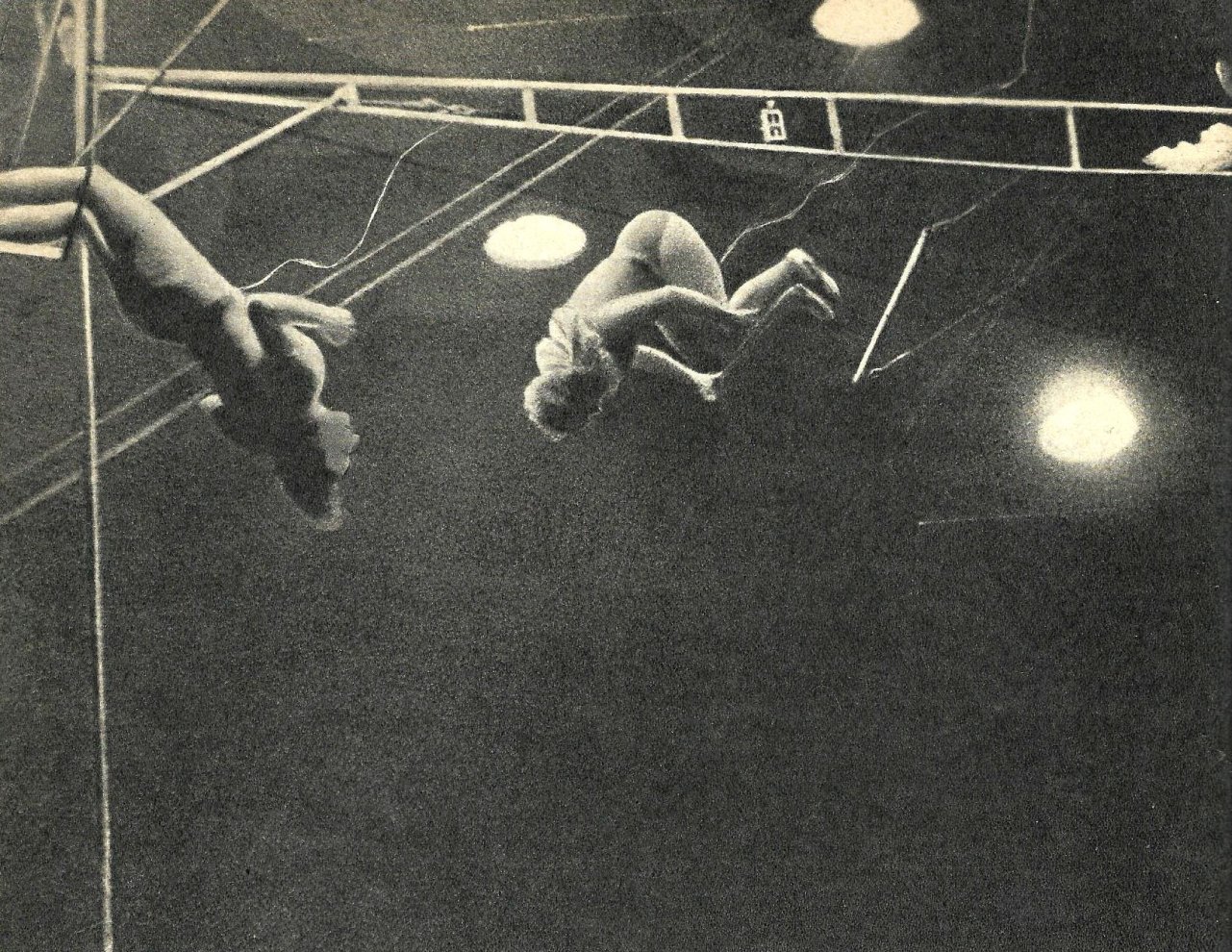 Звёзды советского цирка