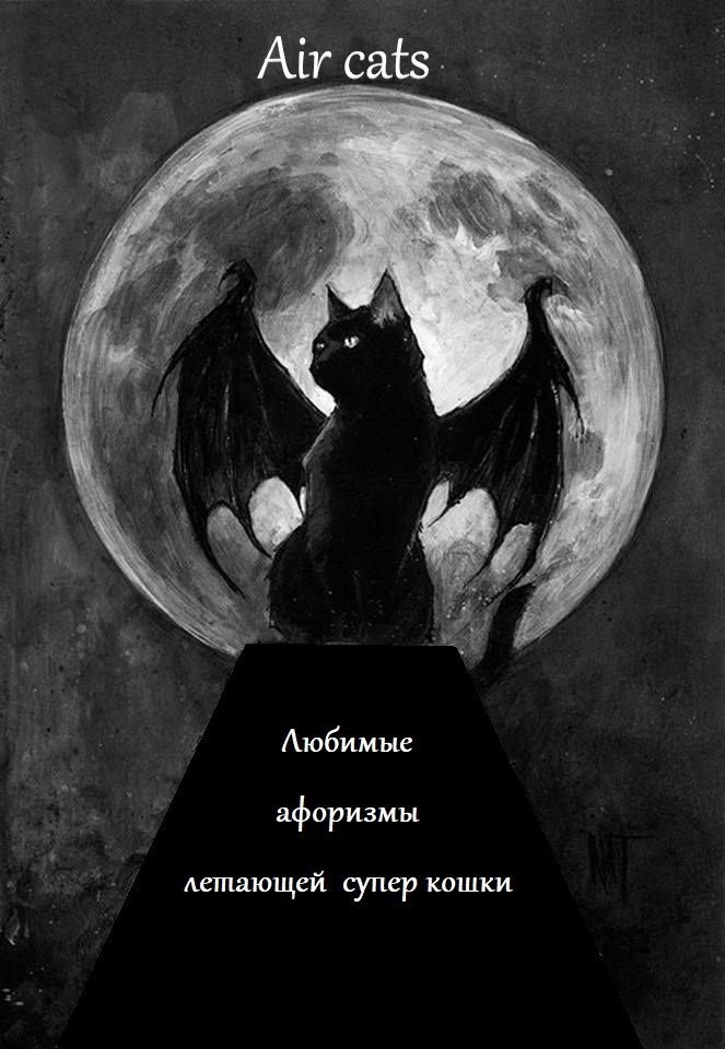 Жизненный принцип "Женщины кошки"