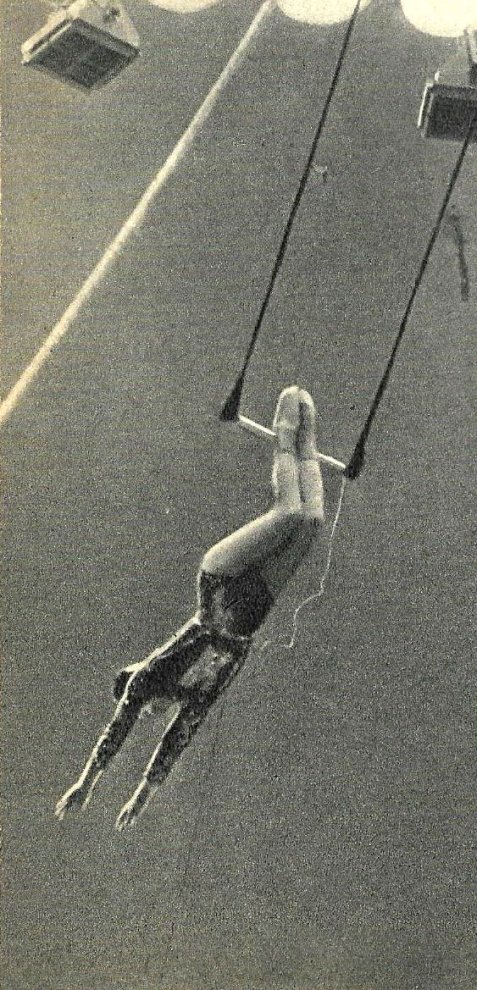 Звёзды советского цирка